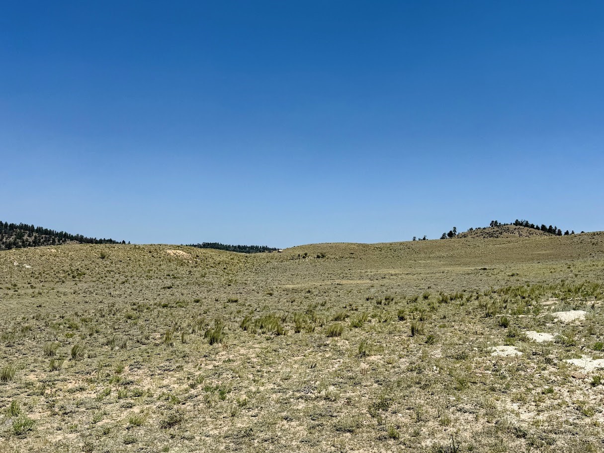 609 Commanche Trail Property Photo 7