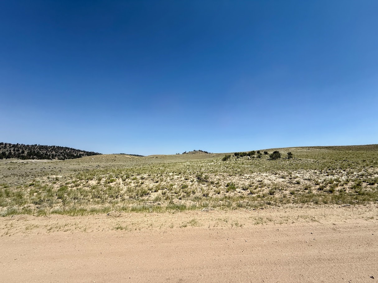 609 Commanche Trail Property Photo 8