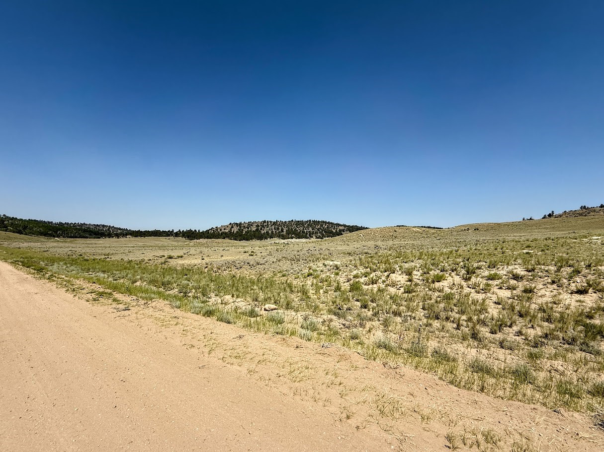 609 Commanche Trail Property Photo 9