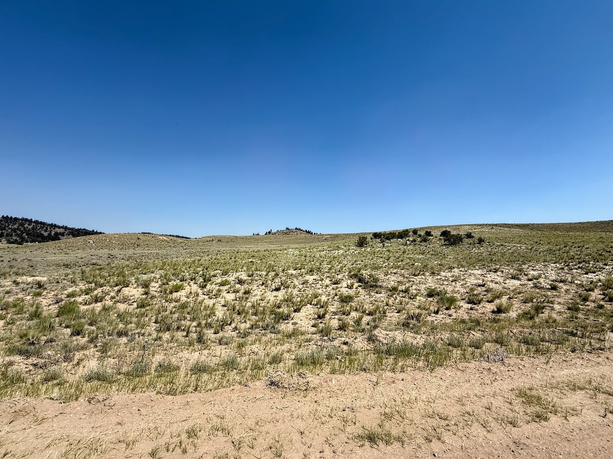 609 Commanche Trail Property Photo 10