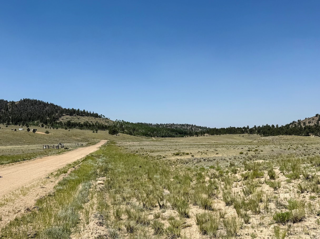 609 Commanche Trail Property Photo 15
