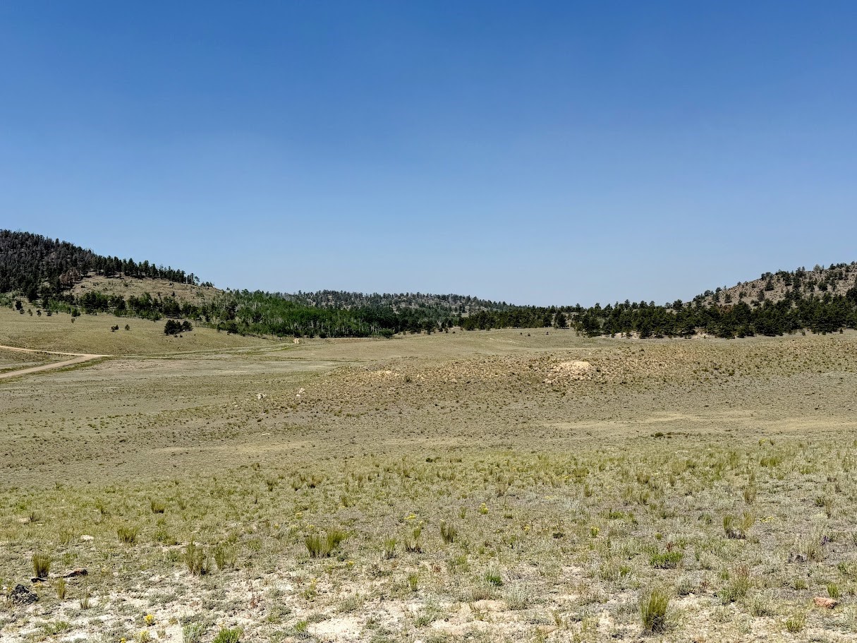 609 Commanche Trail Property Photo 16
