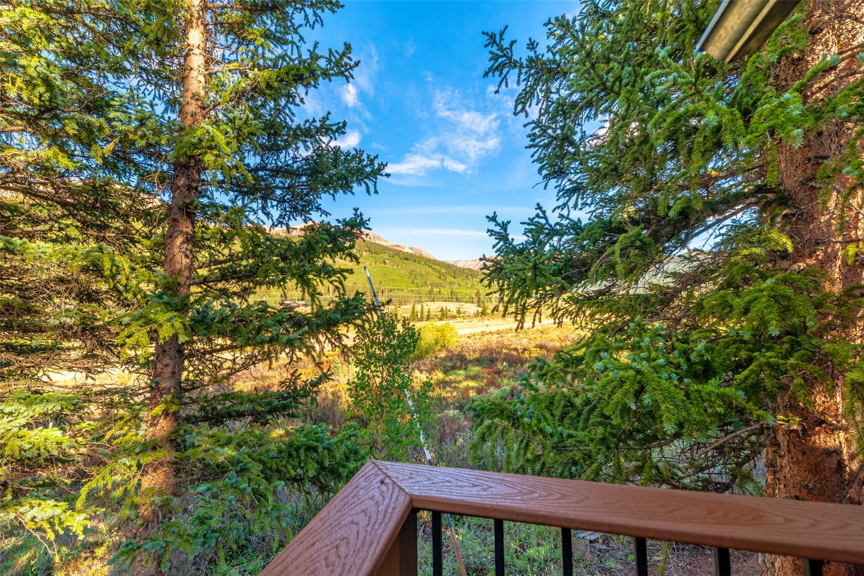 1772 Cr-4 Property Photo 10