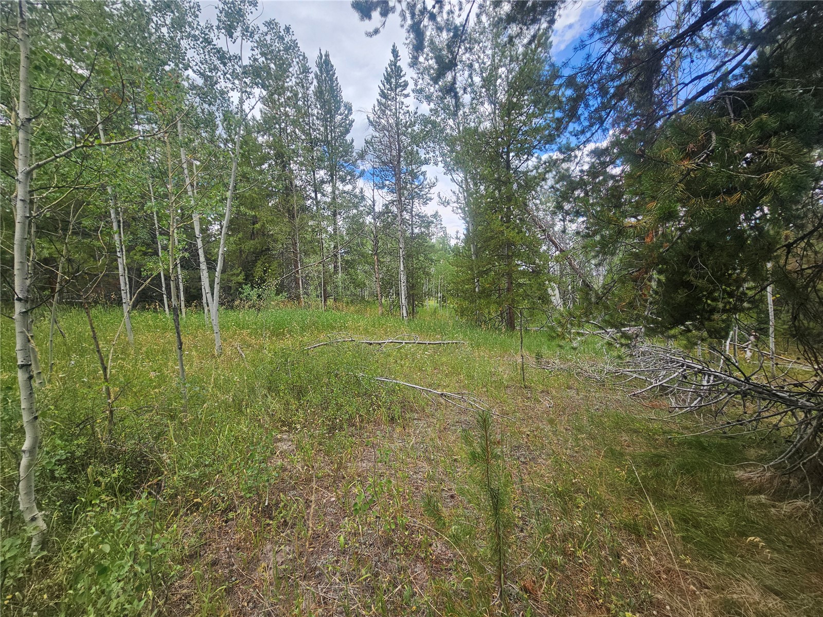 20885 Pinto Way Property Photo 4