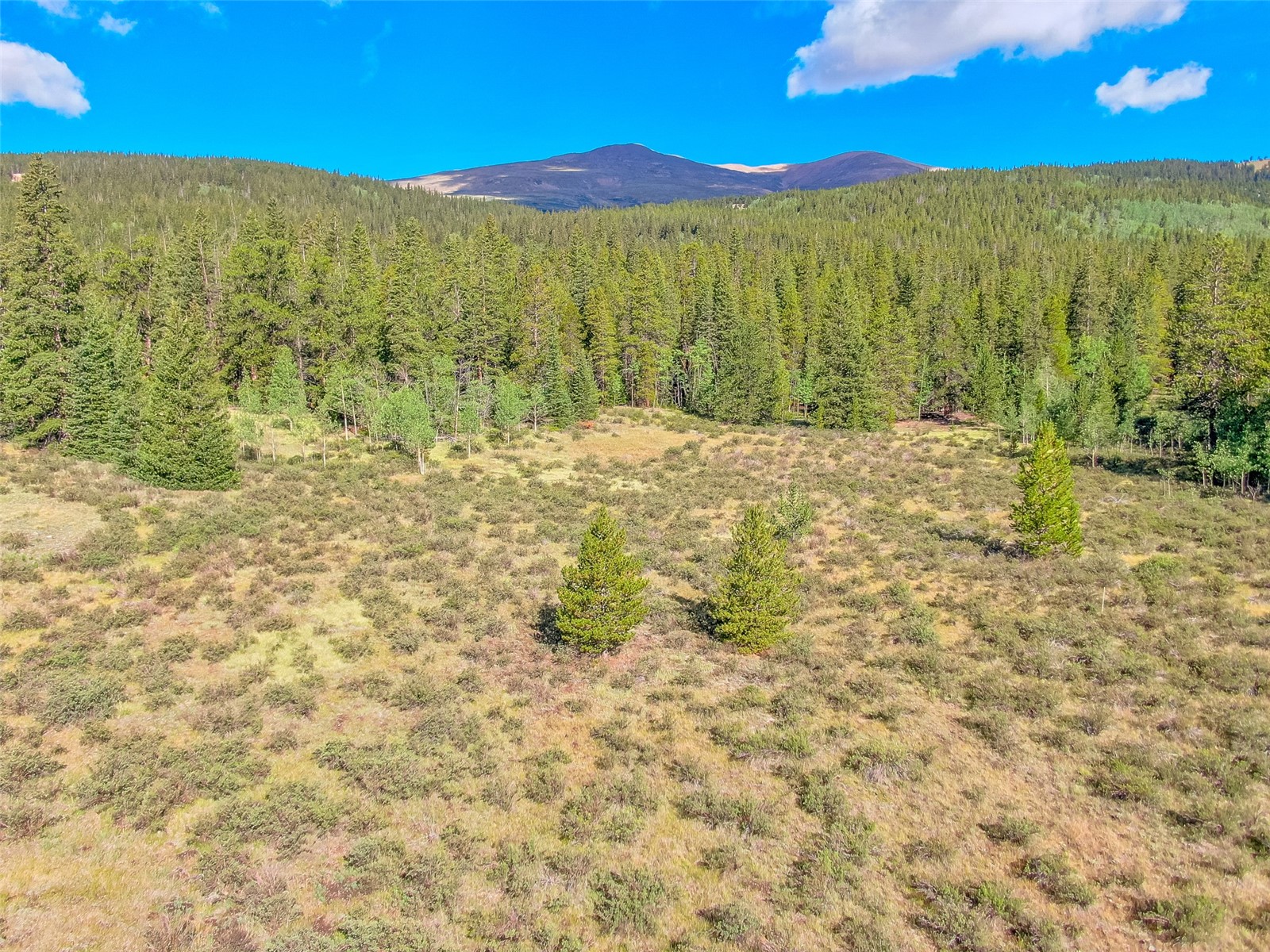 935 Co Rd 6 Property Photo 16
