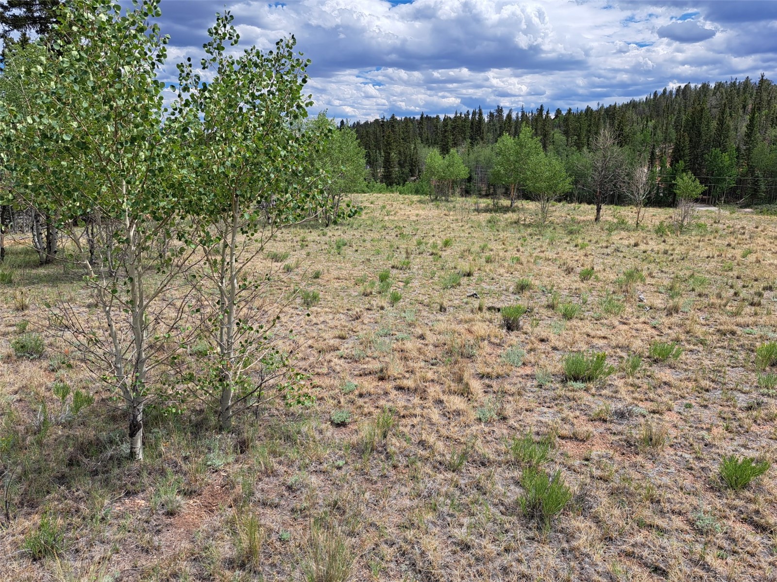 6242 Remington Road Property Photo