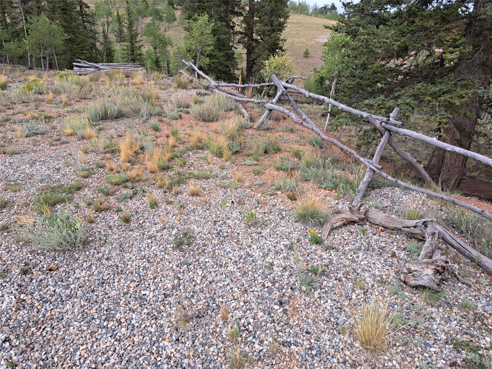 6206 Remington Road Property Photo 3