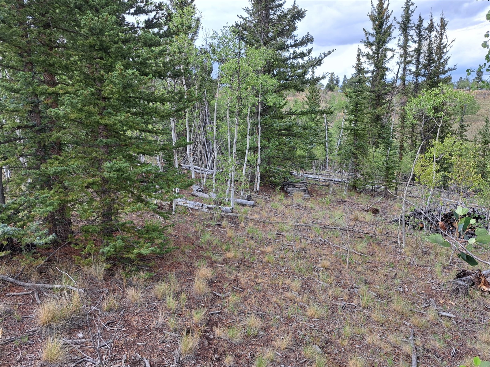 6206 Remington Road Property Photo 11