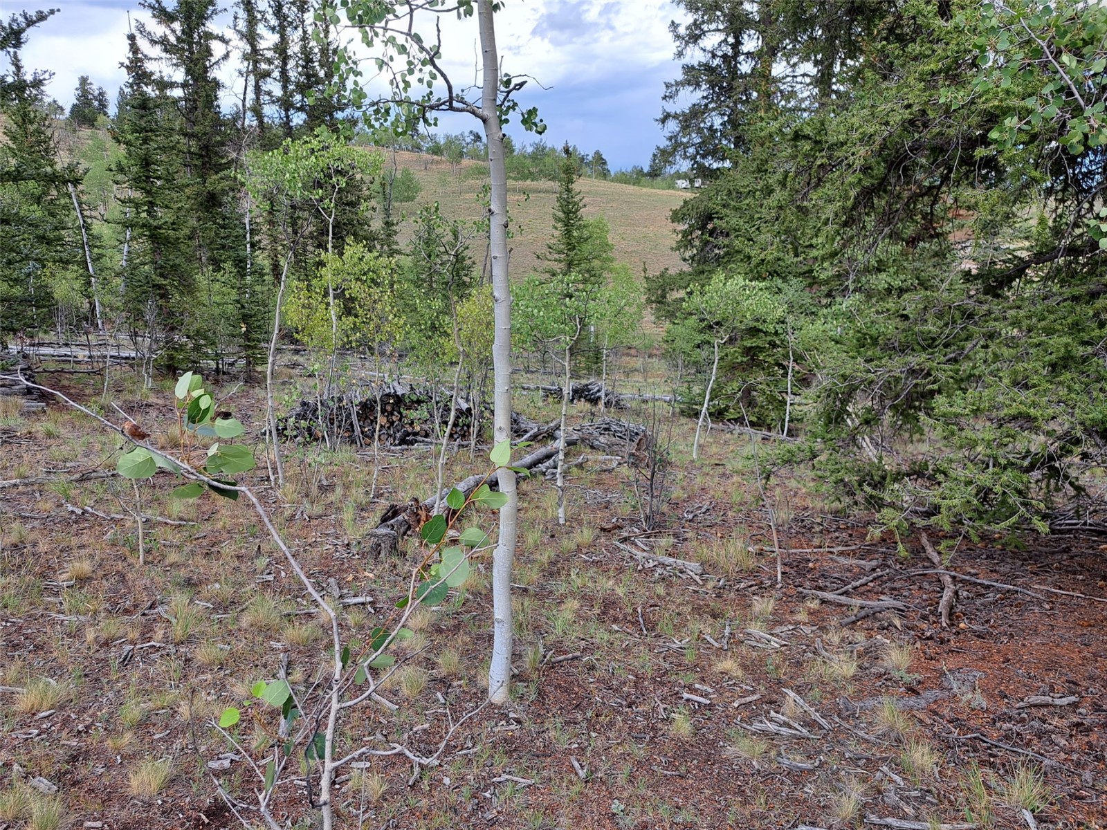 6206 Remington Road Property Photo 15