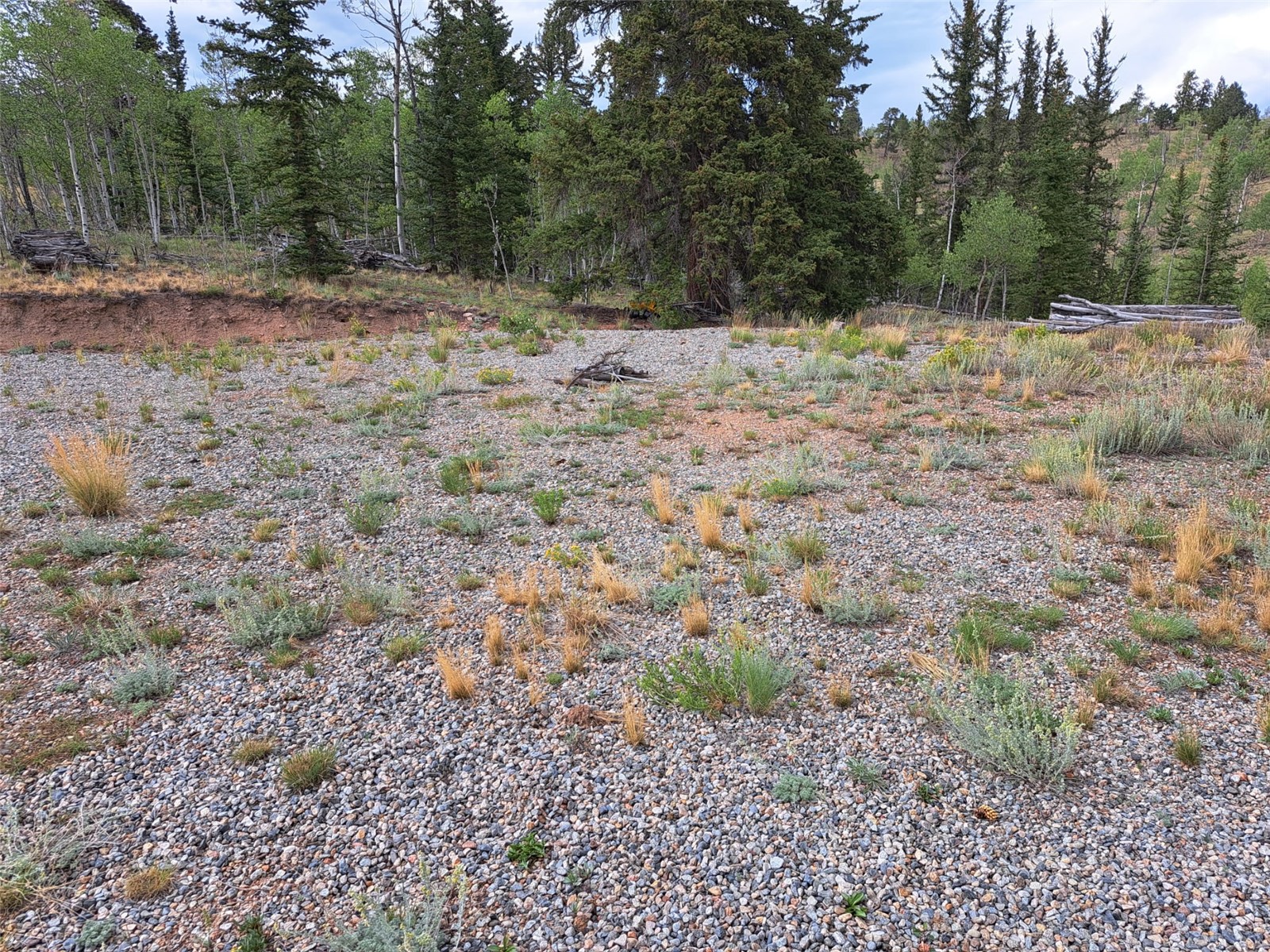 6206 Remington Road Property Photo 16