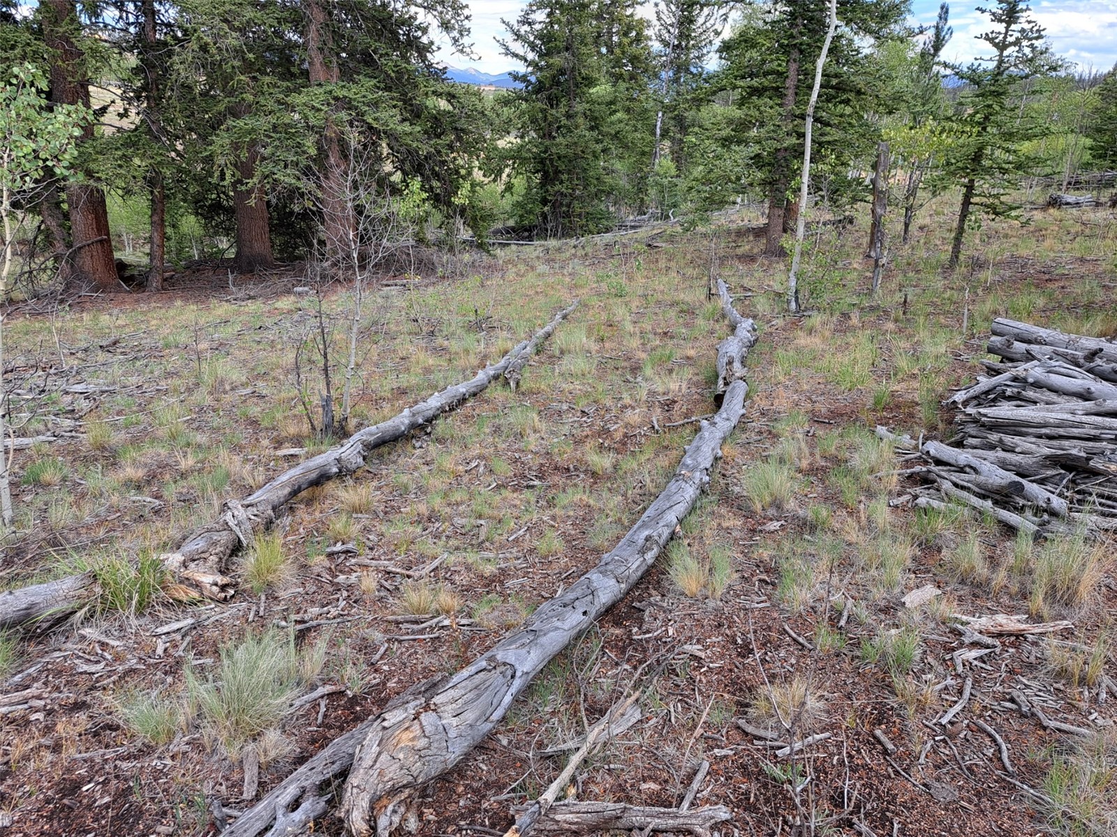 6206 Remington Road Property Photo 19