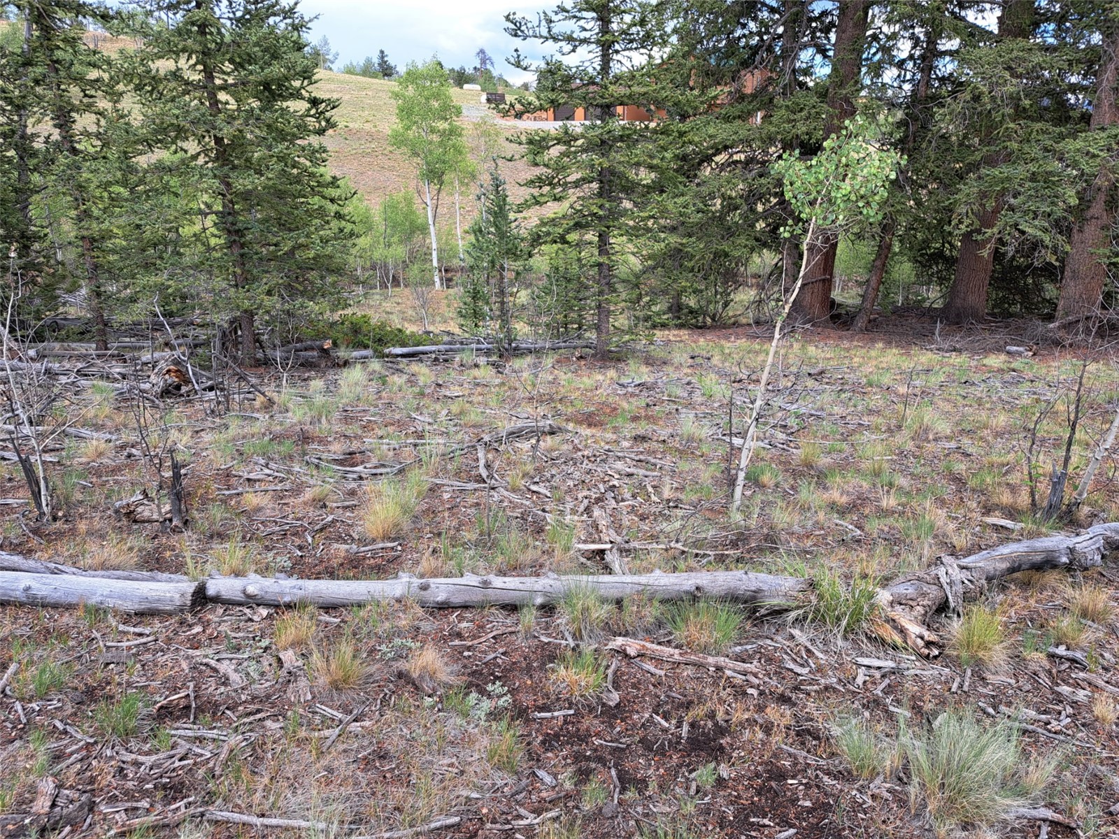 6206 Remington Road Property Photo 20