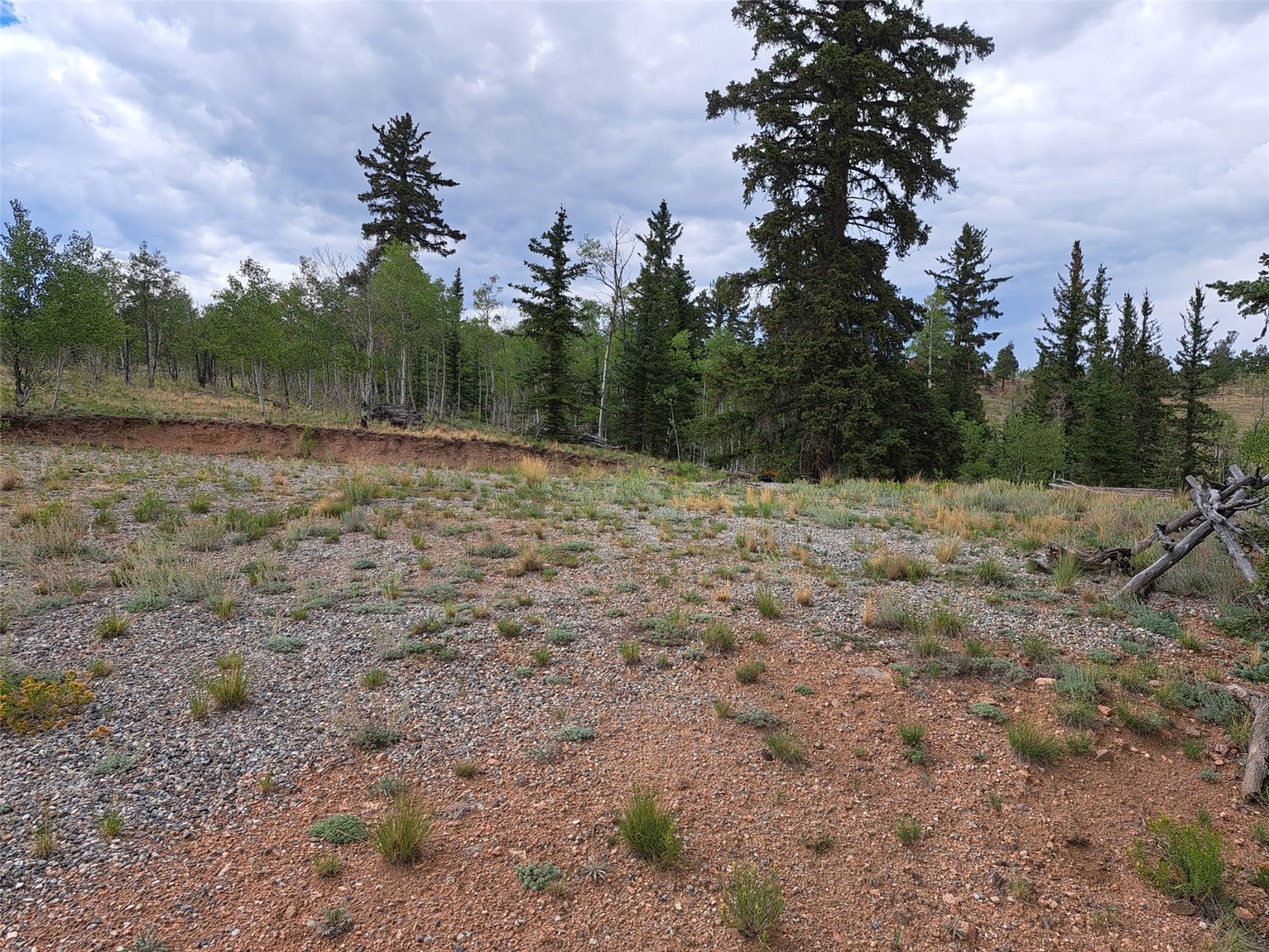 6206 Remington Road Property Photo 24