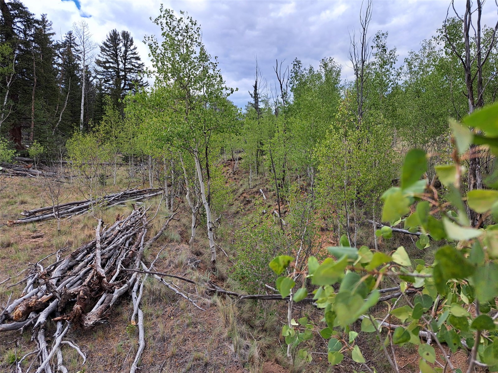 6206 Remington Road Property Photo 25