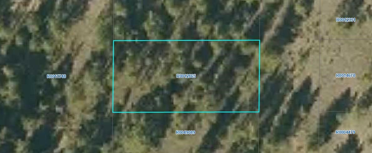 000 Buck STREET Property Photo 1