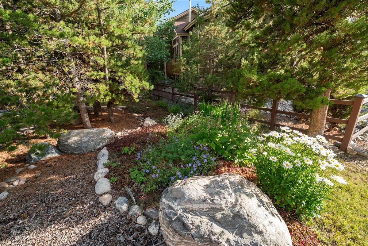 215 Pitkin Street B Property Photo 46