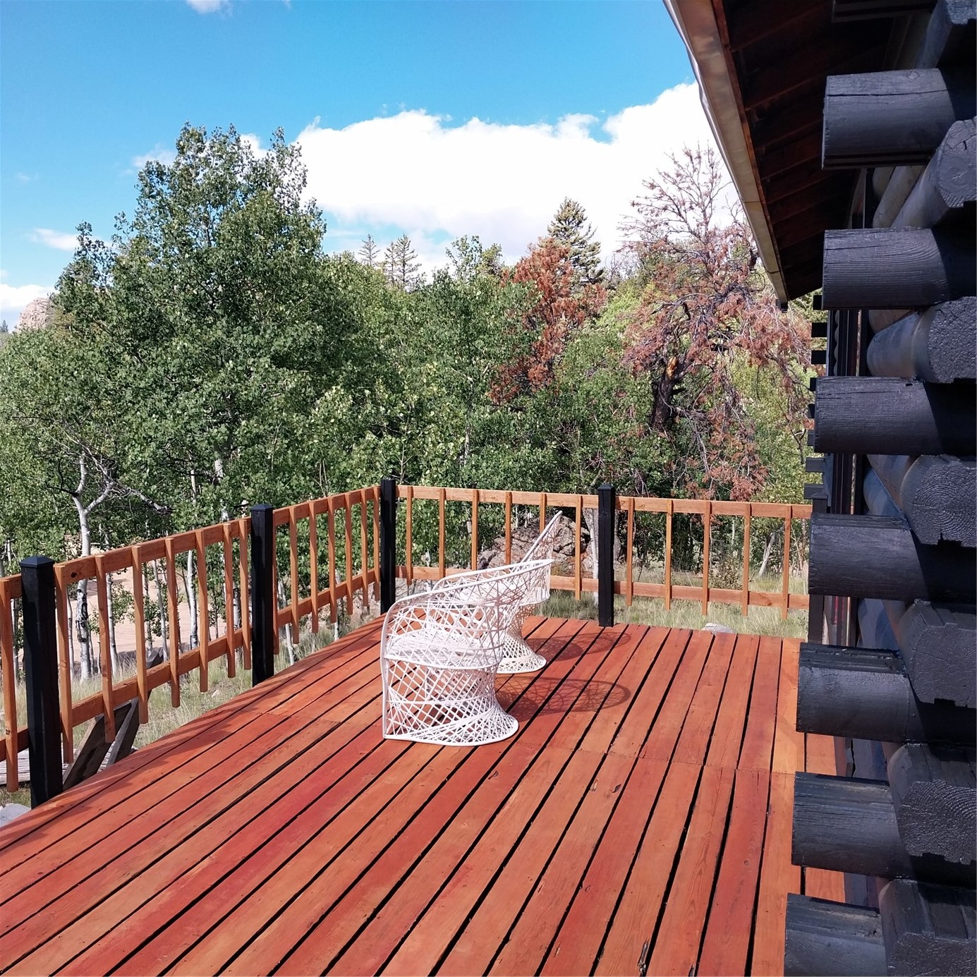 1391 Ute Trail Property Photo 8