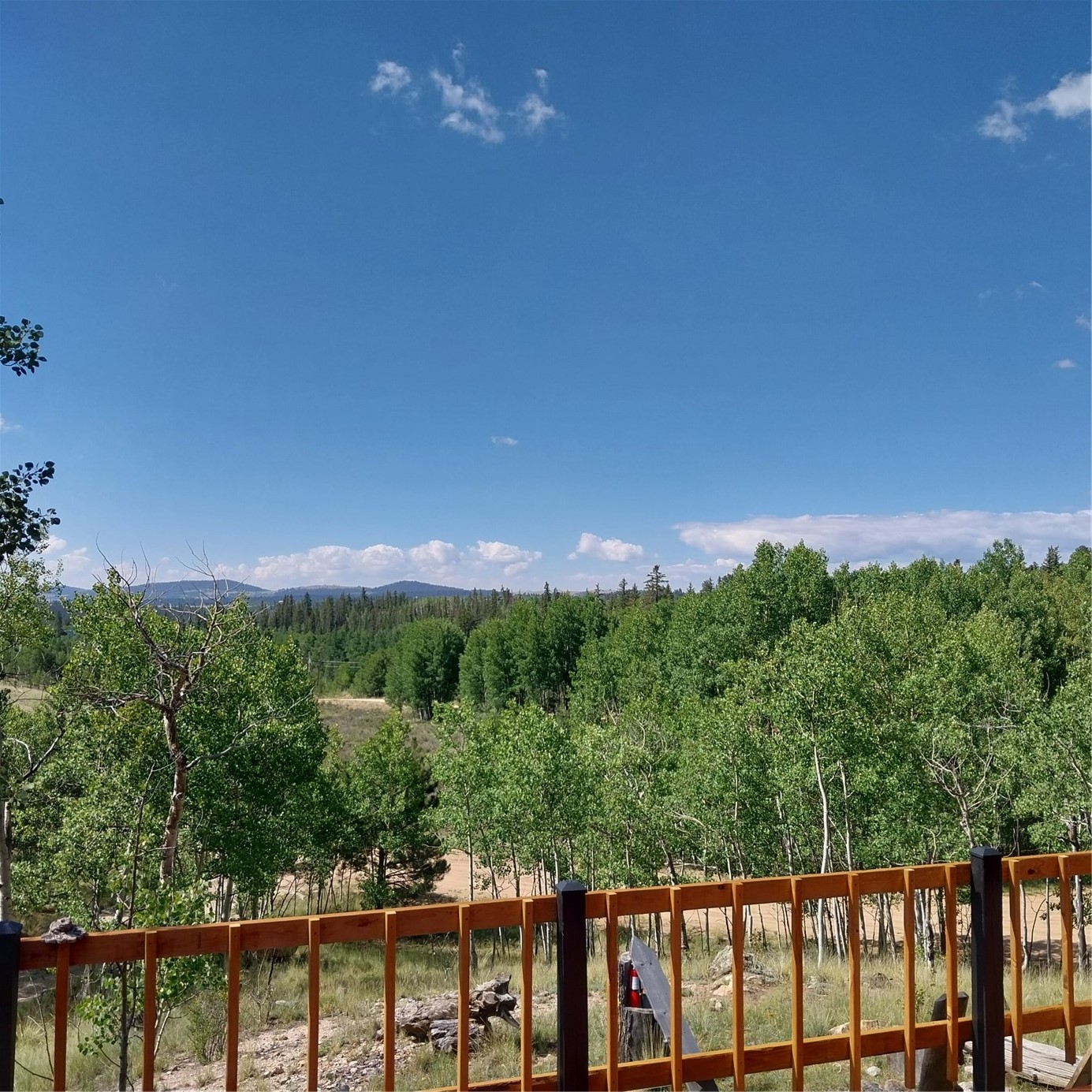 1391 Ute Trail Property Photo 9