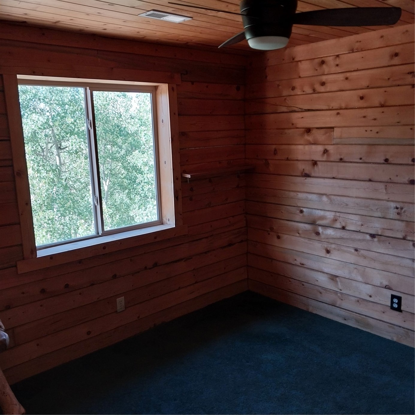 1391 Ute Trail Property Photo 23