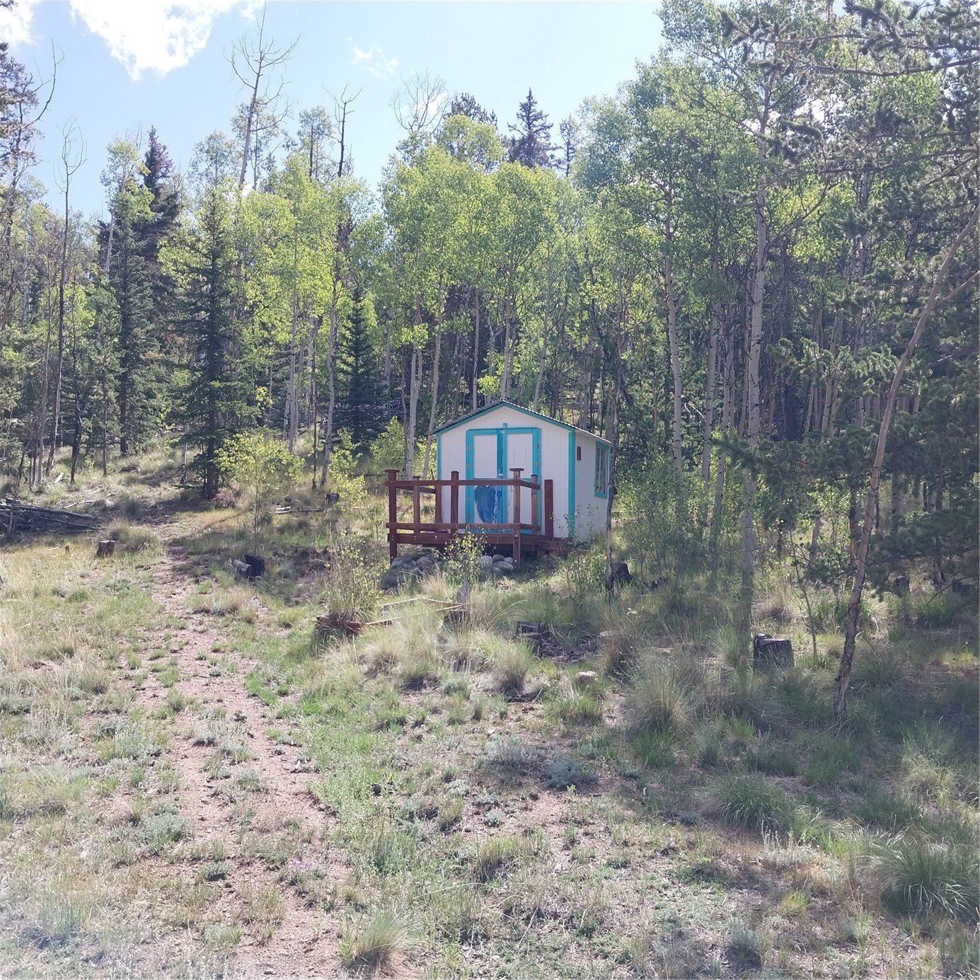 1391 Ute Trail Property Photo 28