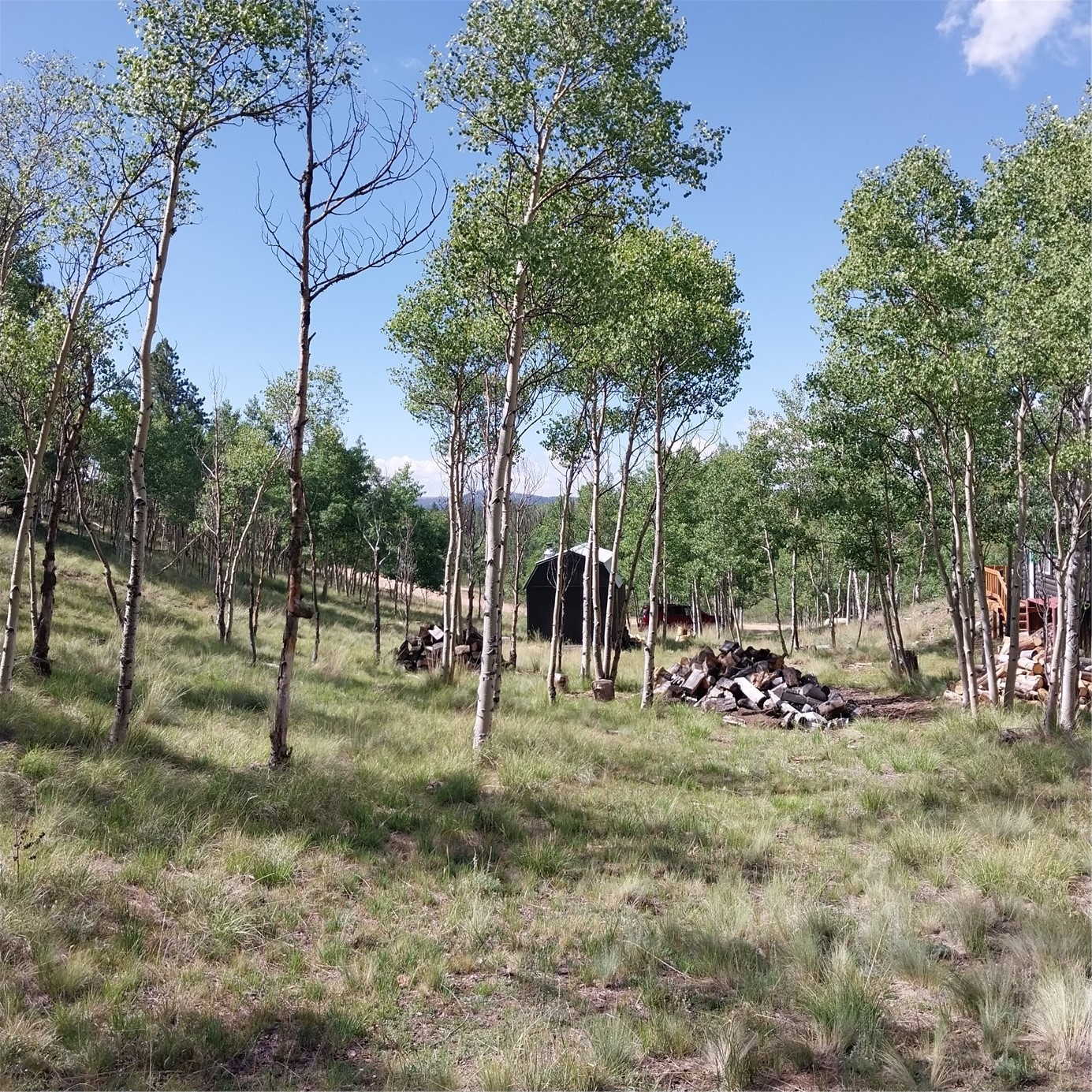 1391 Ute Trail Property Photo 29
