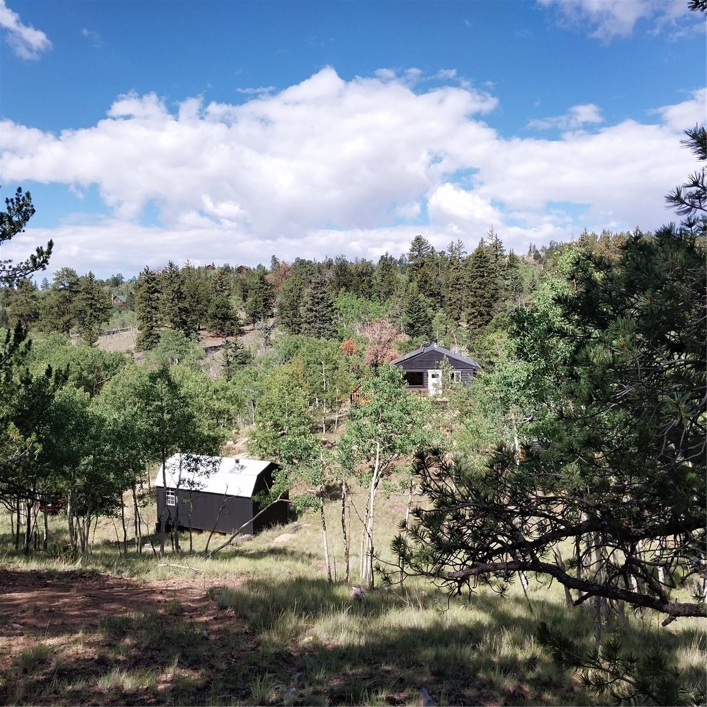1391 Ute Trail Property Photo 31