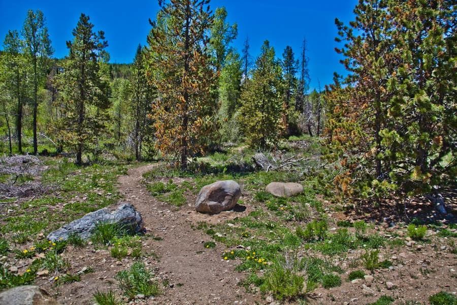 3710 Ryan Gulch Road 375 Property Photo 40
