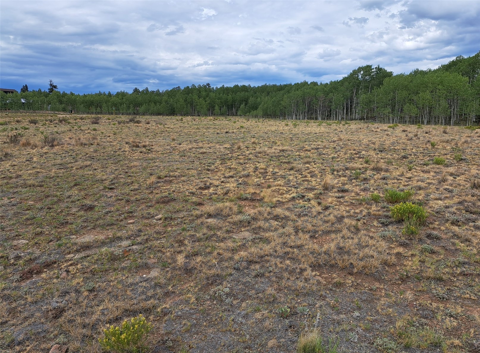 539 Mustang Trail Property Photo 1
