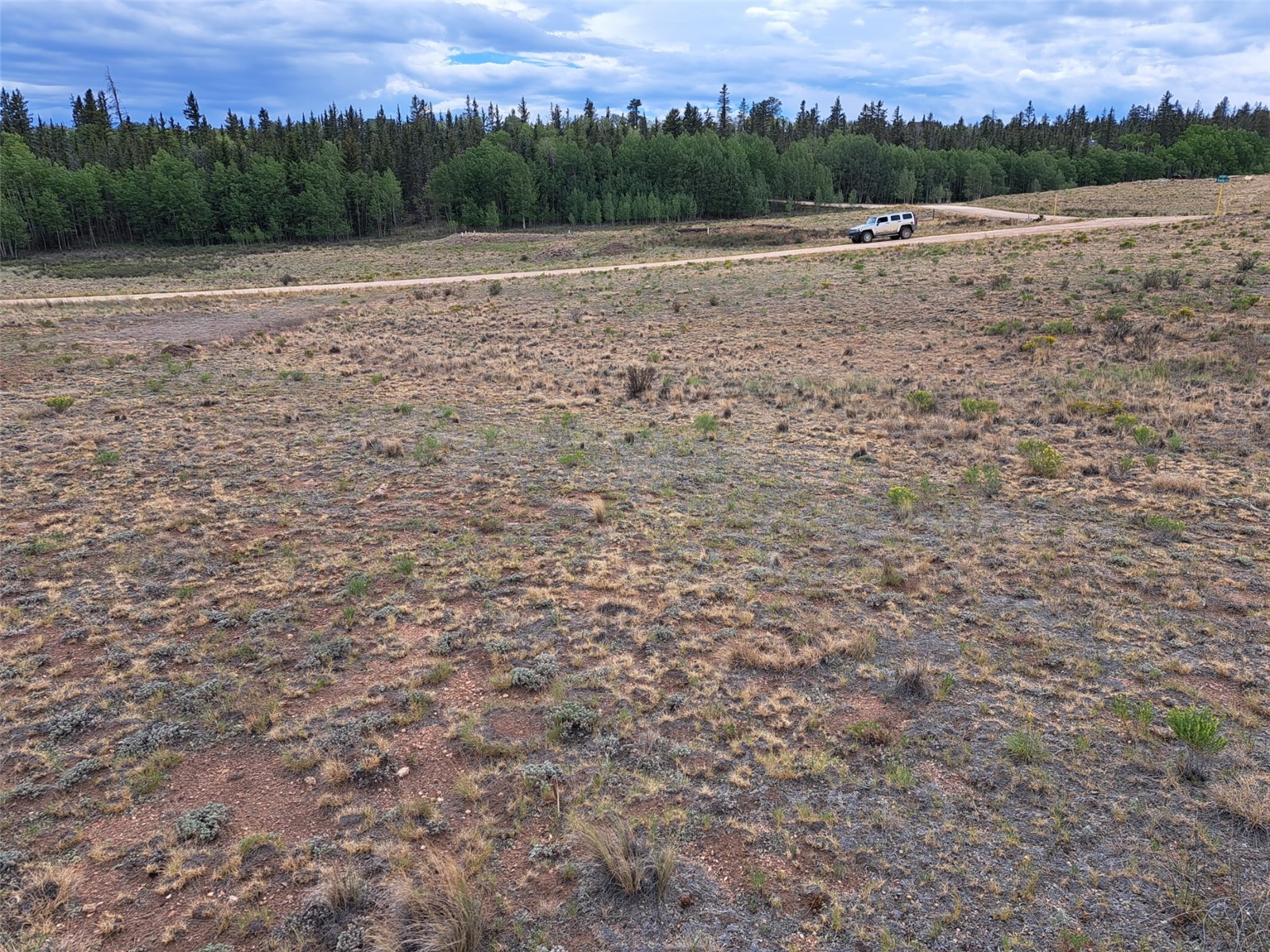 539 Mustang Trail Property Photo 3
