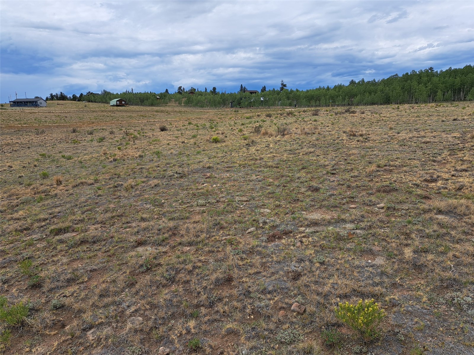 539 Mustang Trail Property Photo 4