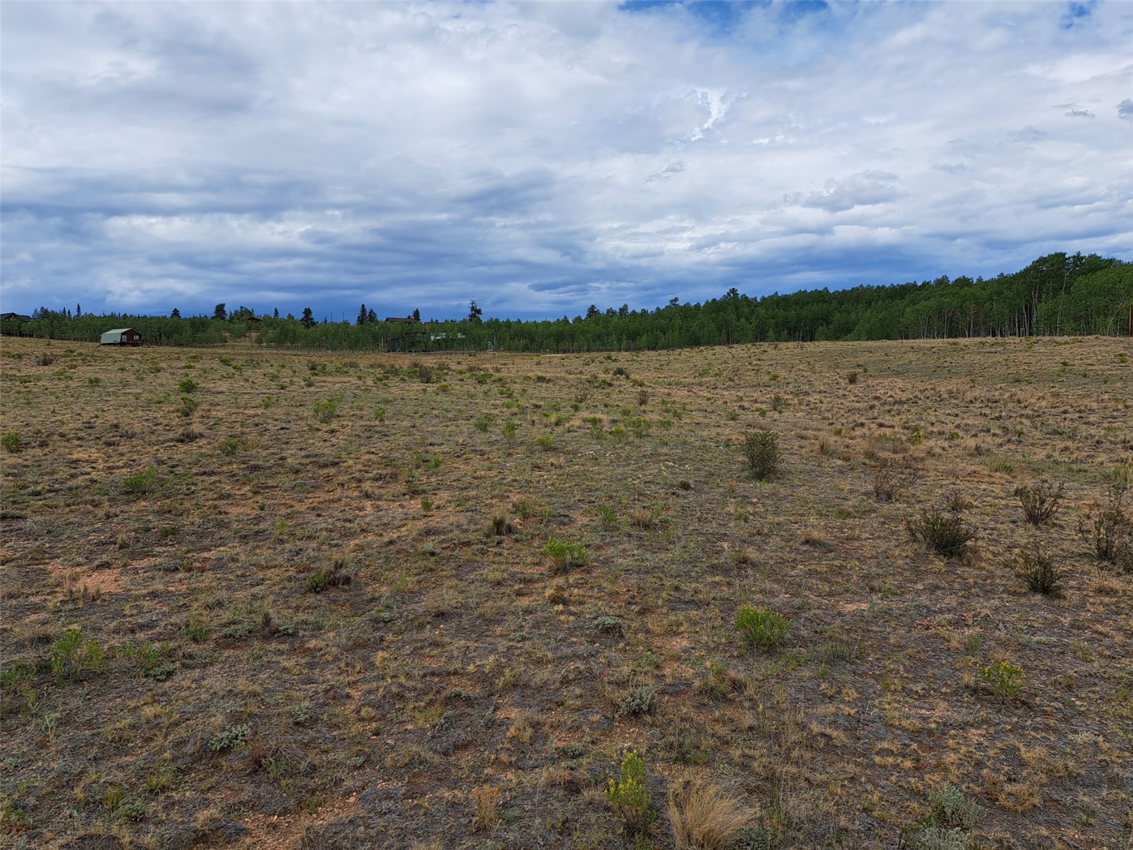 539 Mustang Trail Property Photo 6