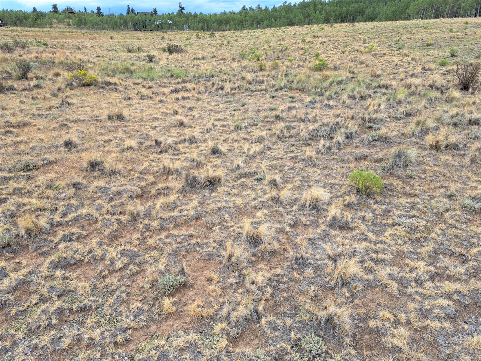 539 Mustang Trail Property Photo 7
