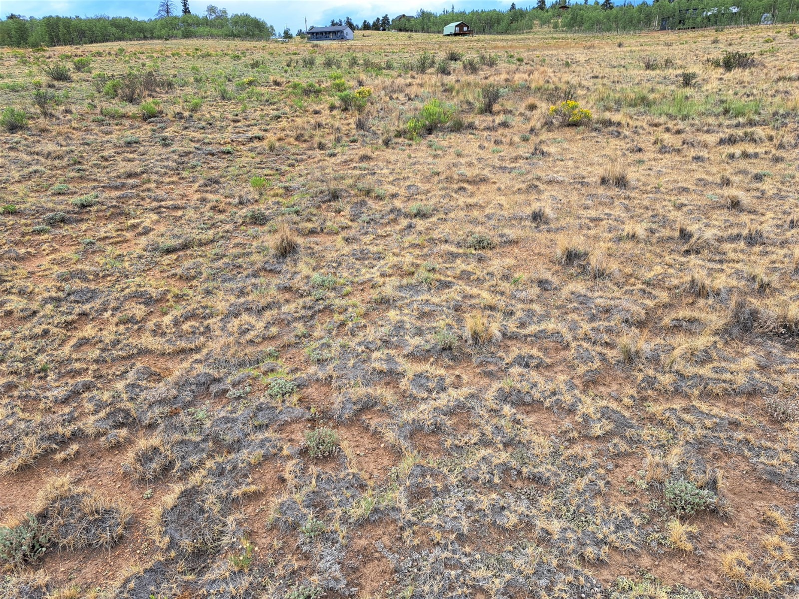 539 Mustang Trail Property Photo 10
