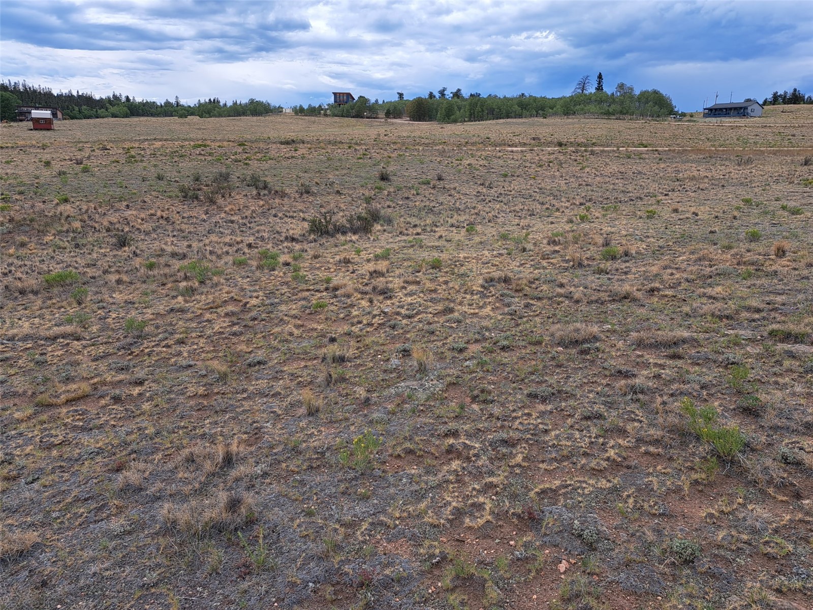 539 Mustang Trail Property Photo 11