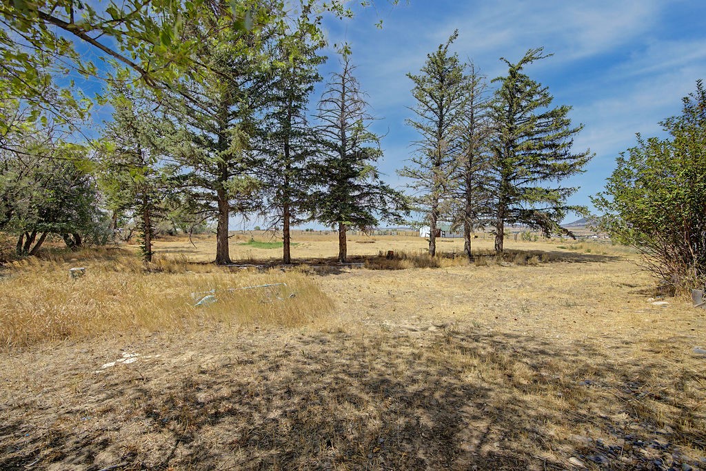 1105 S 5th Avenue Property Photo 45