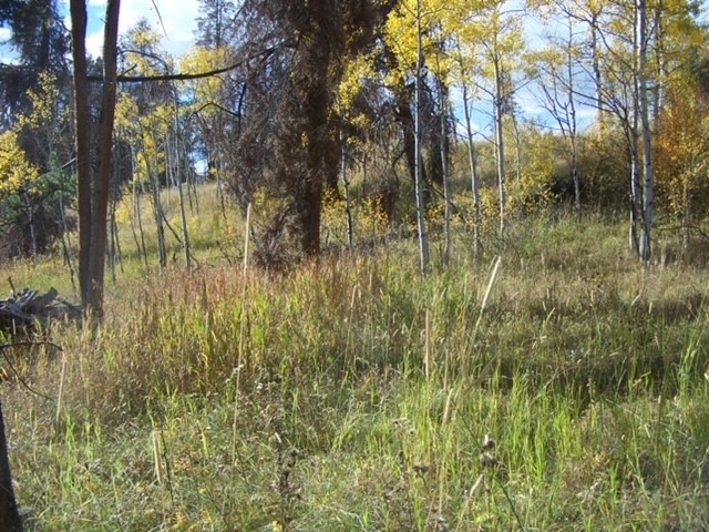 32965 Maverick Way Property Photo 11