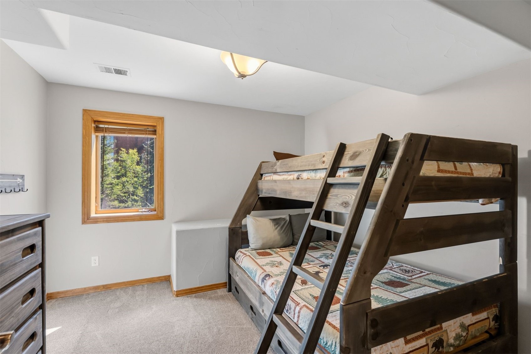 112 Shooting Star Way Property Photo 41