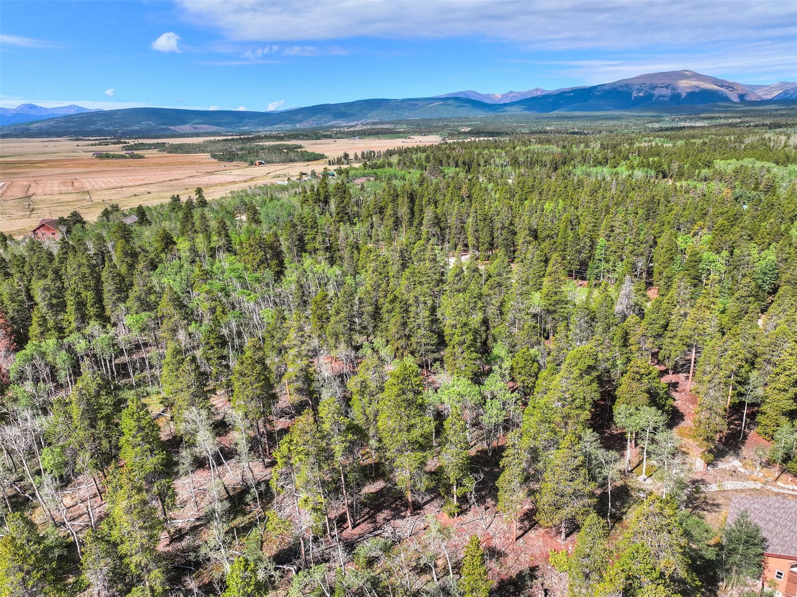 198 Green Bottle Circle Property Photo 6