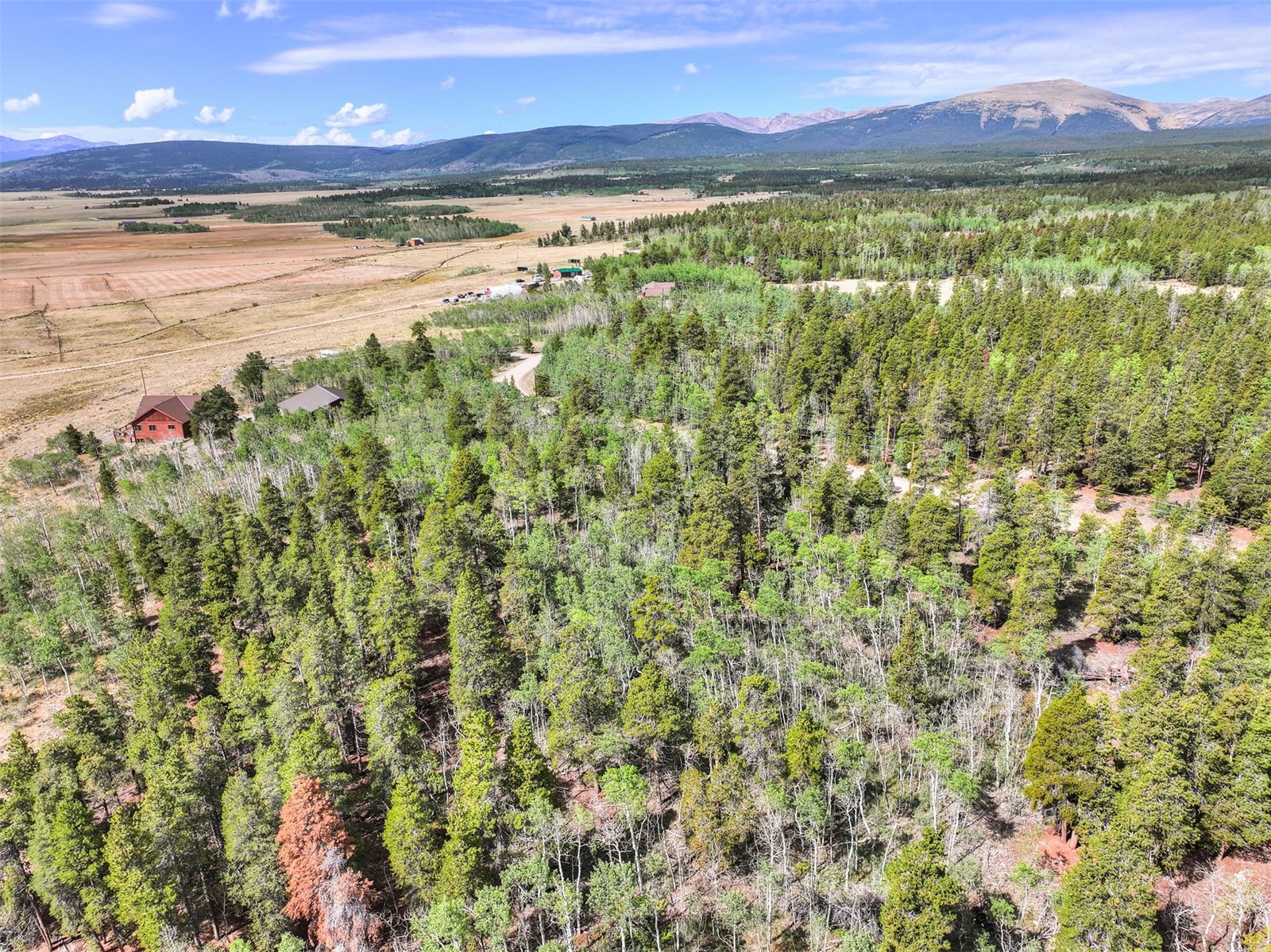 242 Green Bottle Circle Property Photo 6