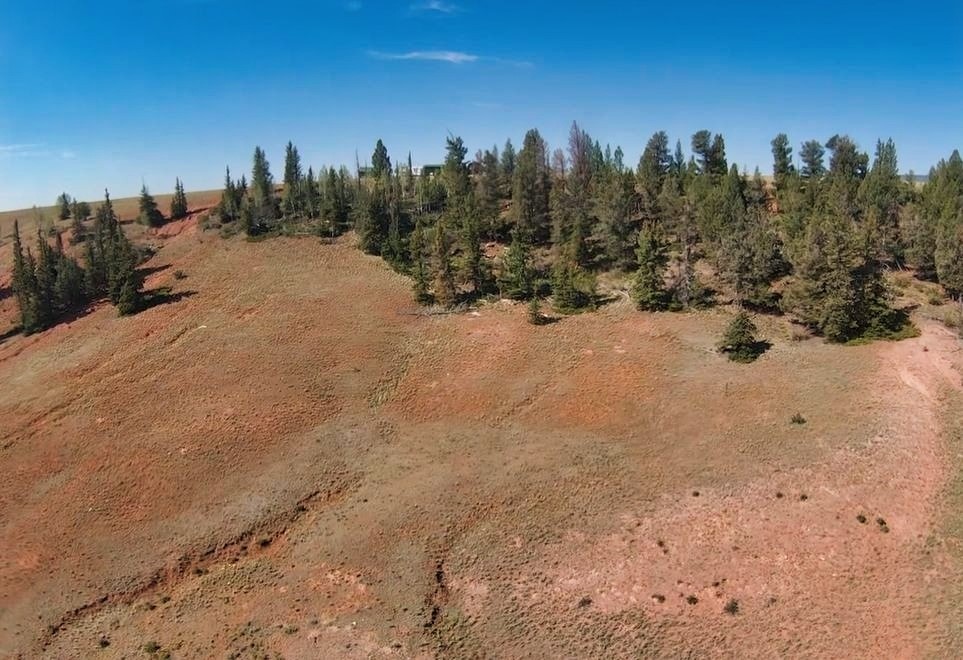4335 Meier Ridge Trail Property Photo 24