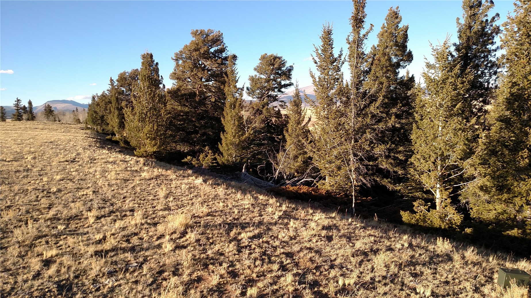 4335 Meier Ridge Trail Property Photo 43