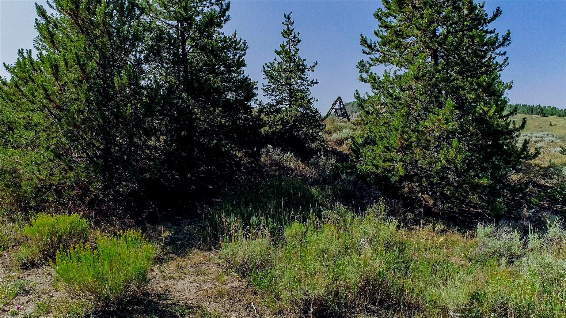 889 E Anemone Trail Property Photo 35