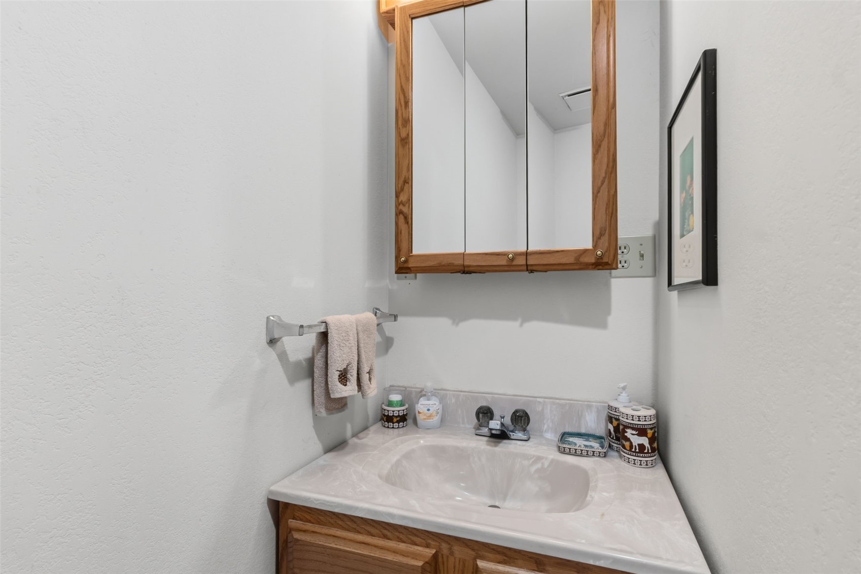 165 Shadows Drive Property Photo 43