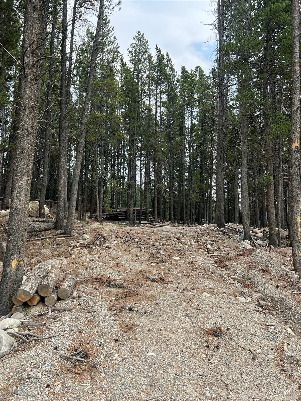 3075 Nugget Road Property Photo 9