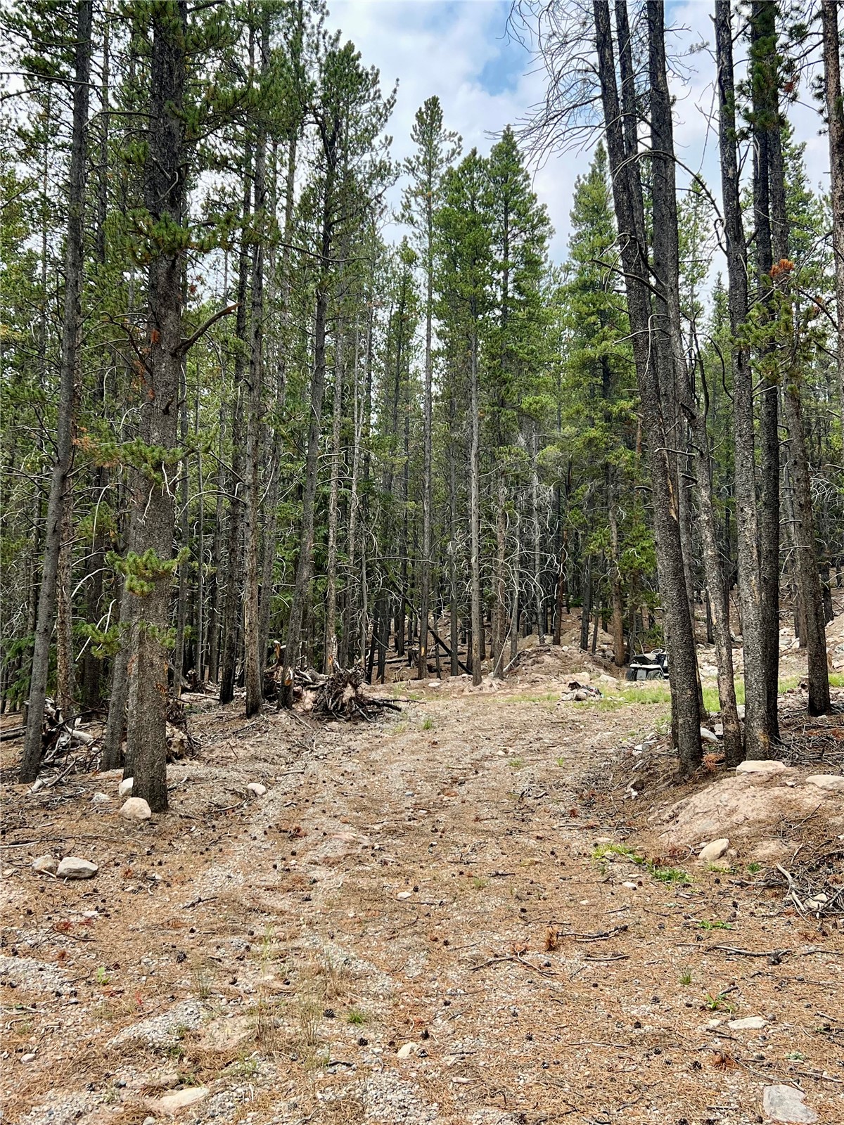 3075 Nugget Road Property Photo 11