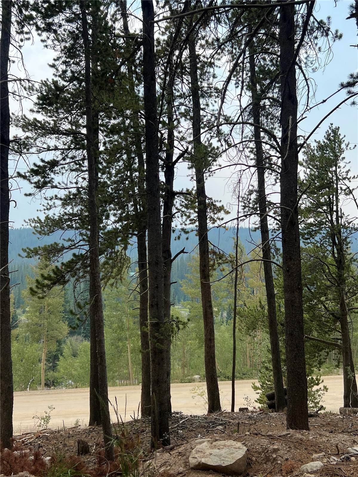 3075 Nugget Road Property Photo 13