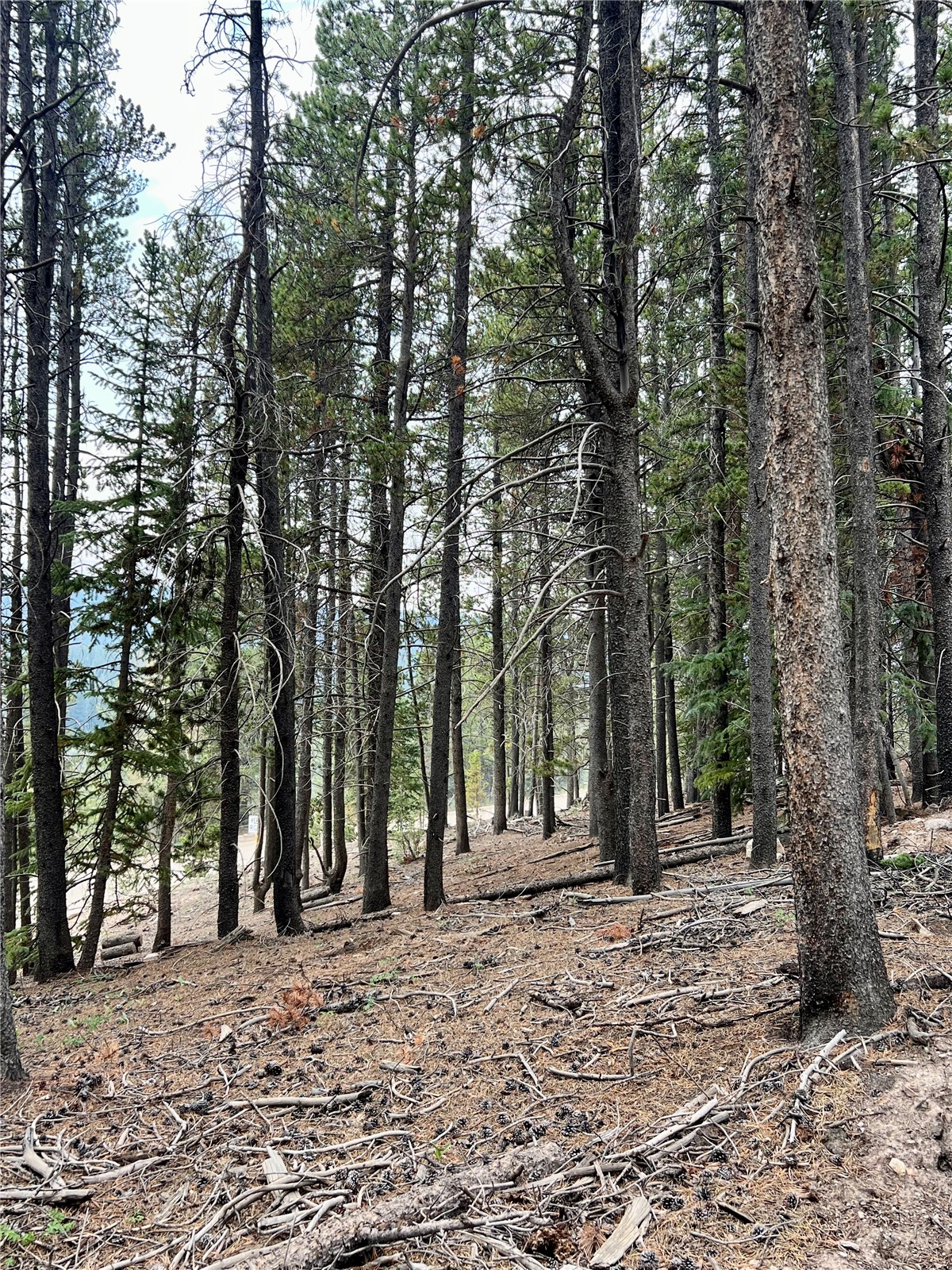 3075 Nugget Road Property Photo 15