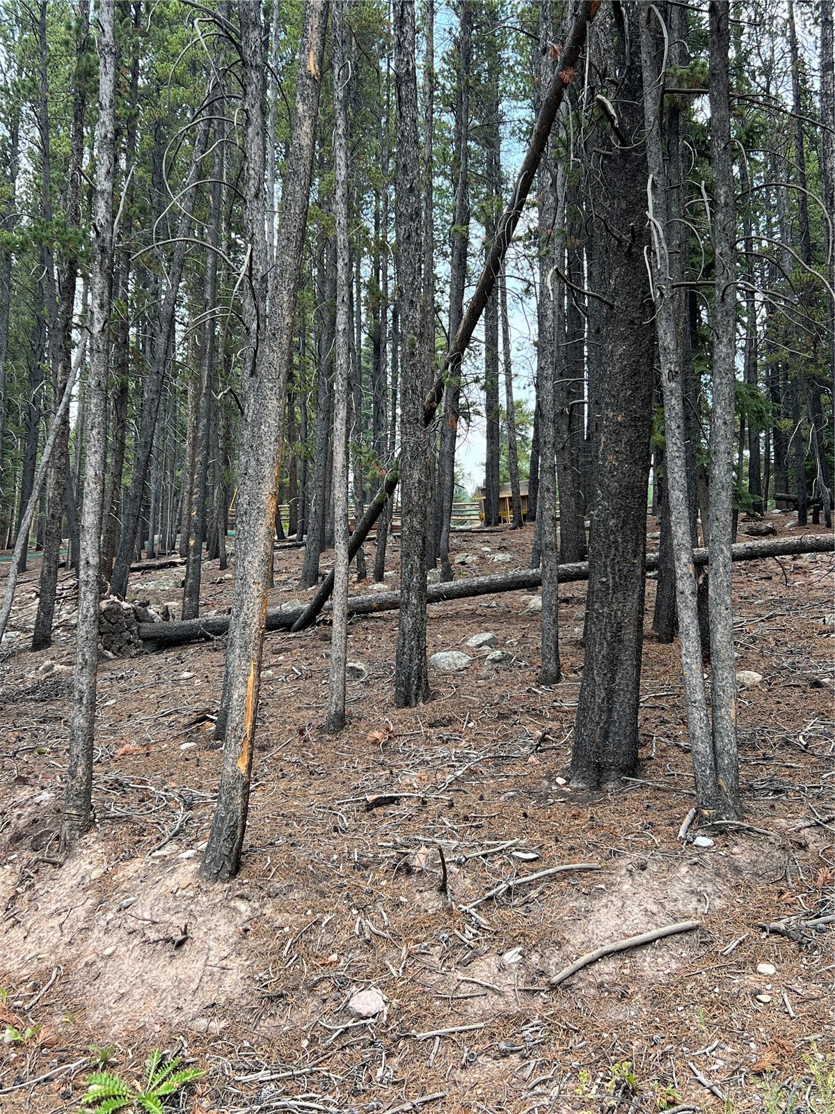 3075 Nugget Road Property Photo 16