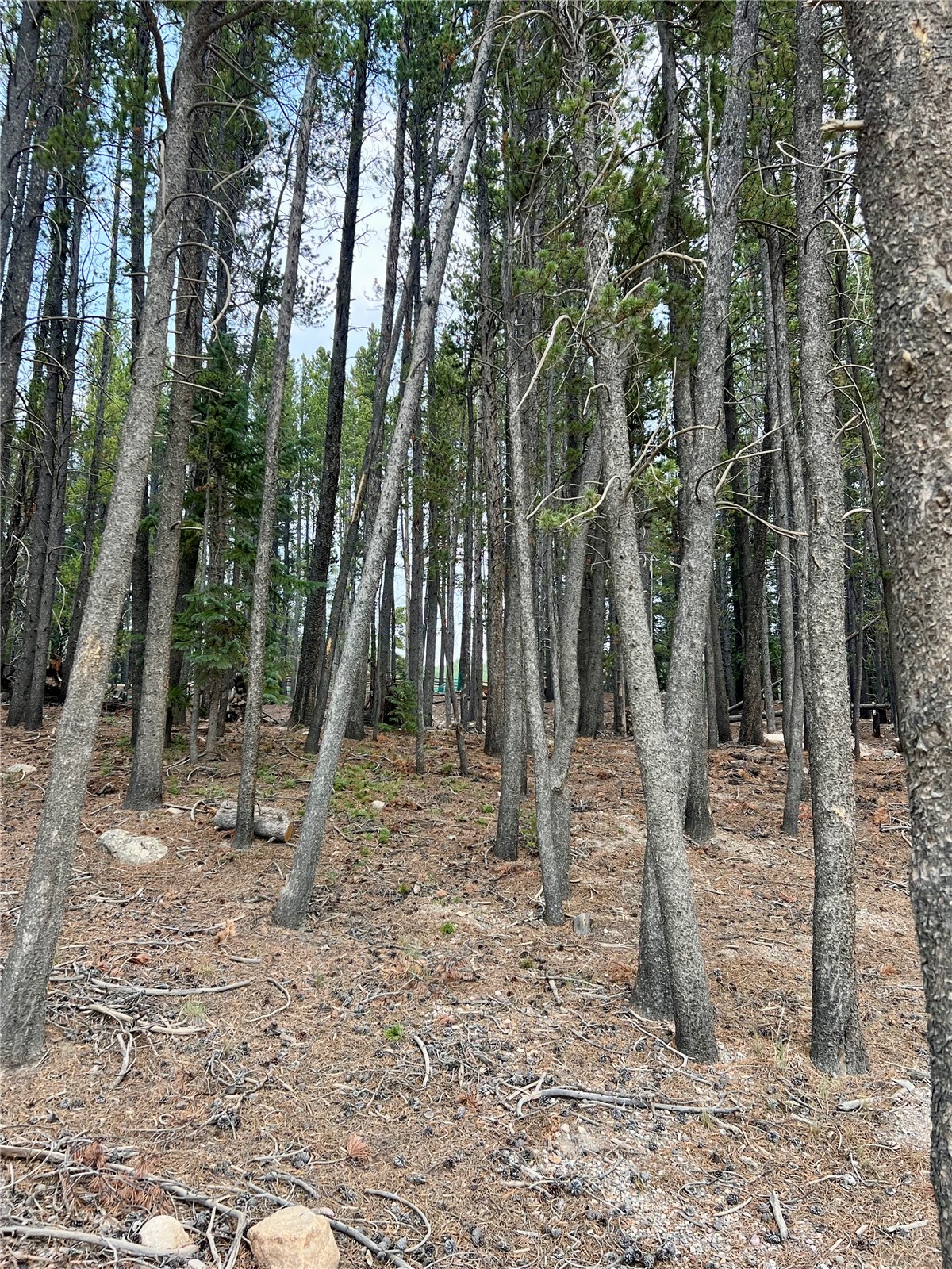 3075 Nugget Road Property Photo 18