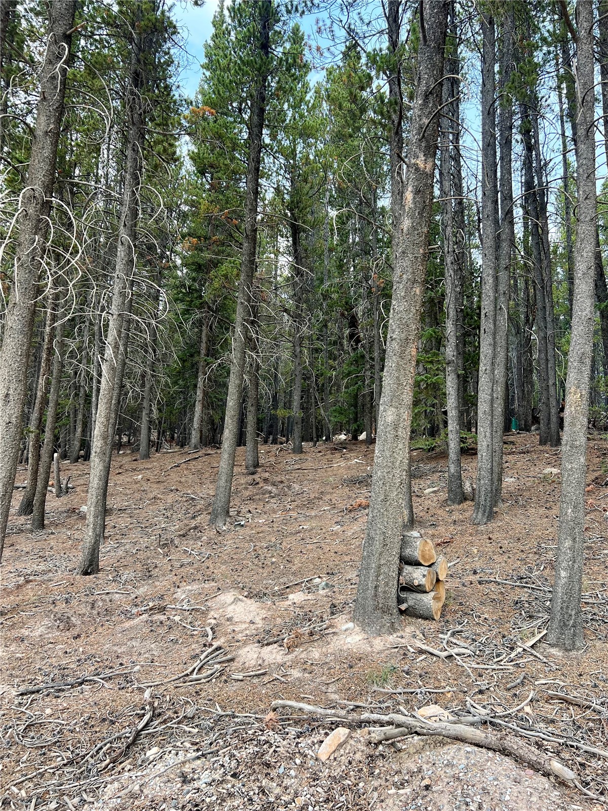 3075 Nugget Road Property Photo 19